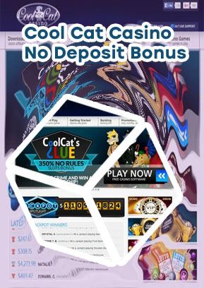 Cool cat casino no deposit bonus
