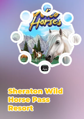 Wild horse pass casino